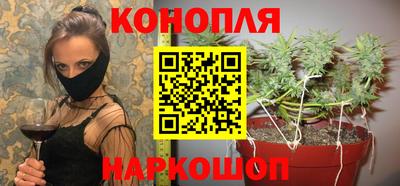 гидра Тверь