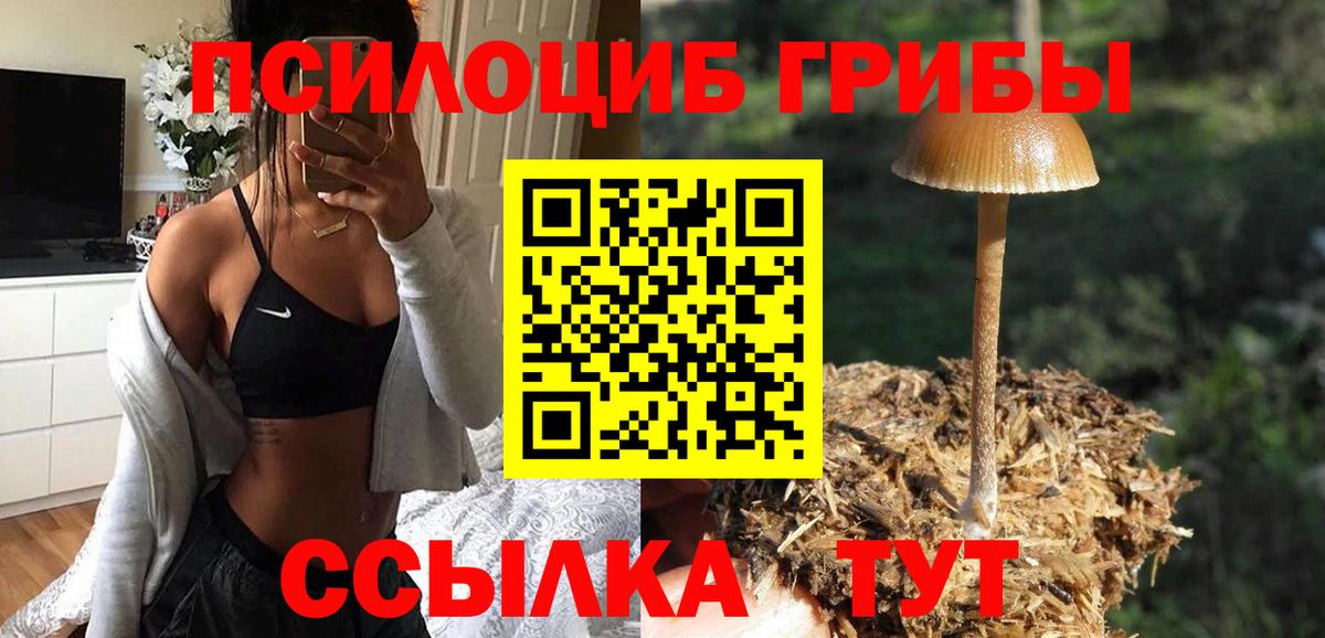 Галлюциногенные грибы прущие грибы  Псилоцибиновые грибы мухоморы  Нижний Новгород  Вход с VPN 